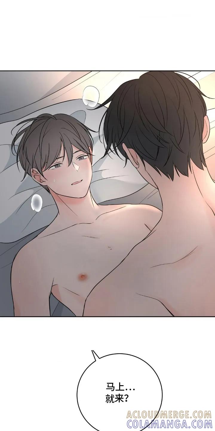《双生痕》第29章：等一下 第13页