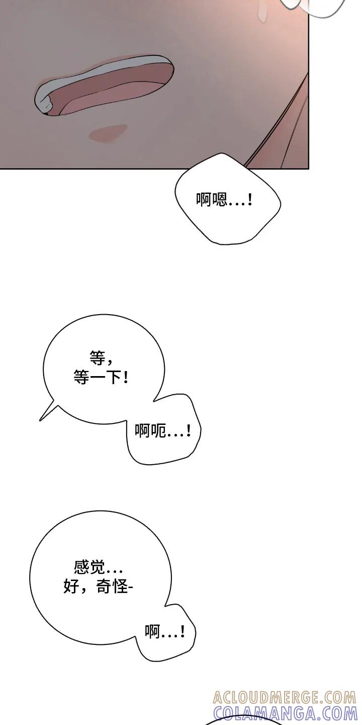 《双生痕》第29章：等一下 第17页