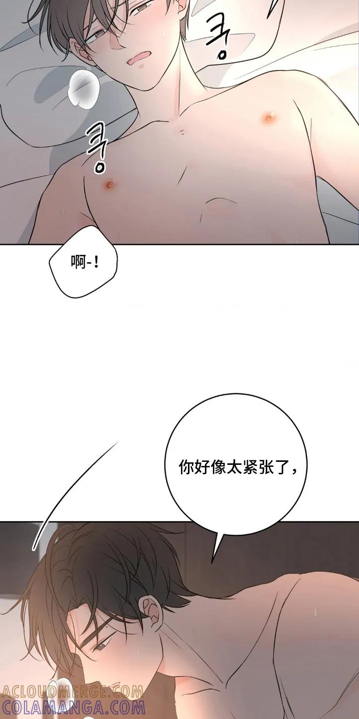 《双生痕》第29章：等一下 第15页