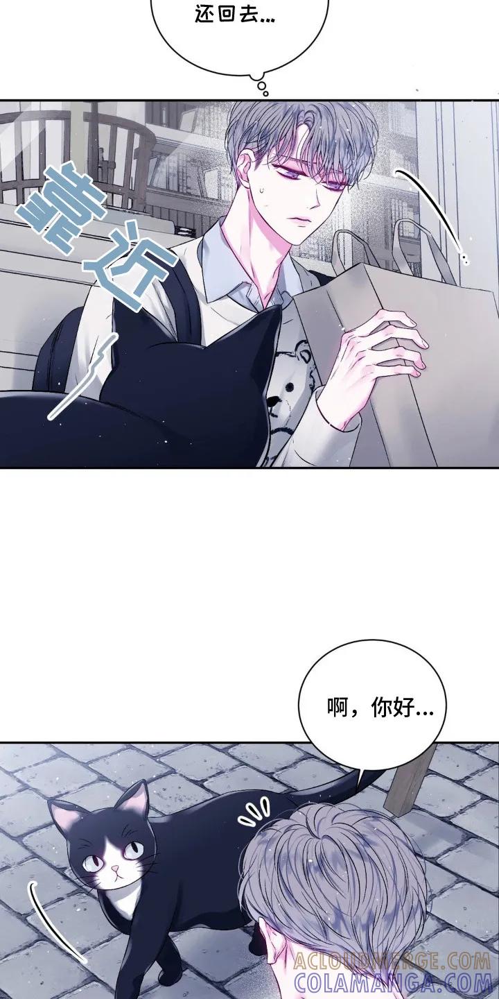 《不完整的空白》第7章：紧张 第15页