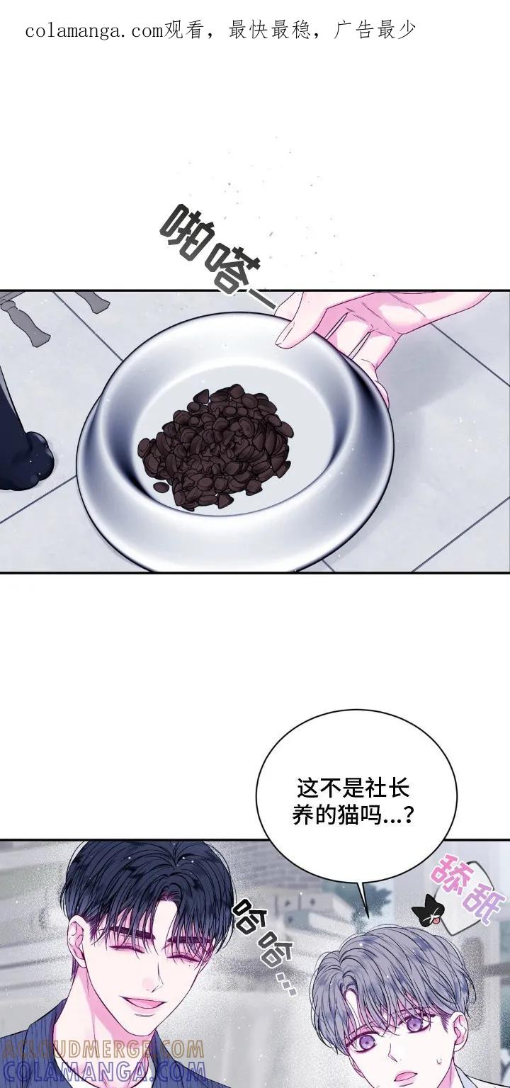 《不完整的空白》第8章：逐渐平静 第1页