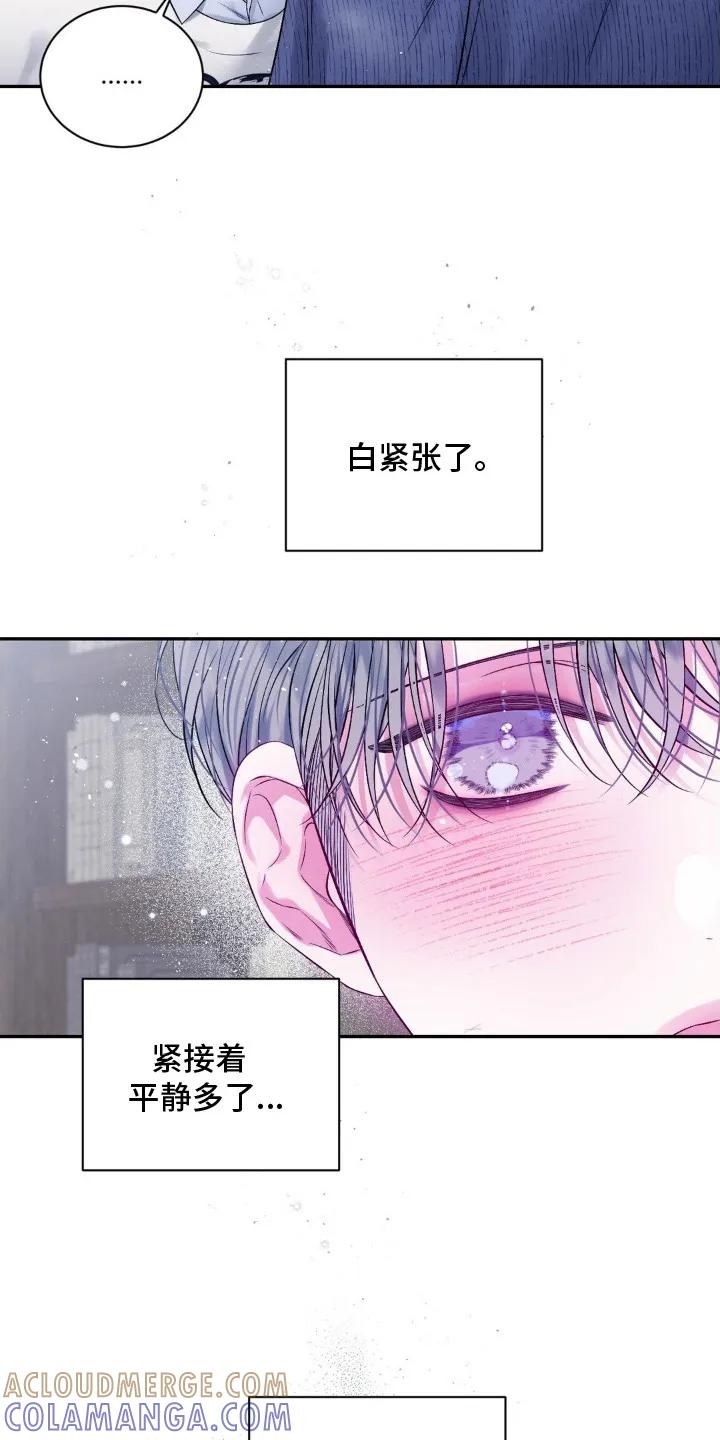 《不完整的空白》第8章：逐渐平静 第13页