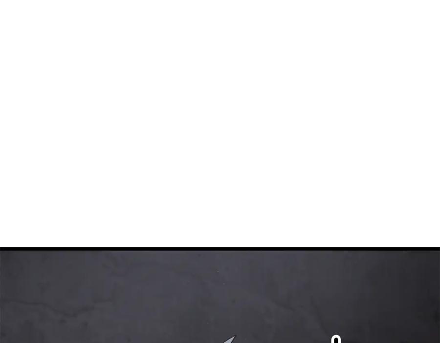 203.jpg