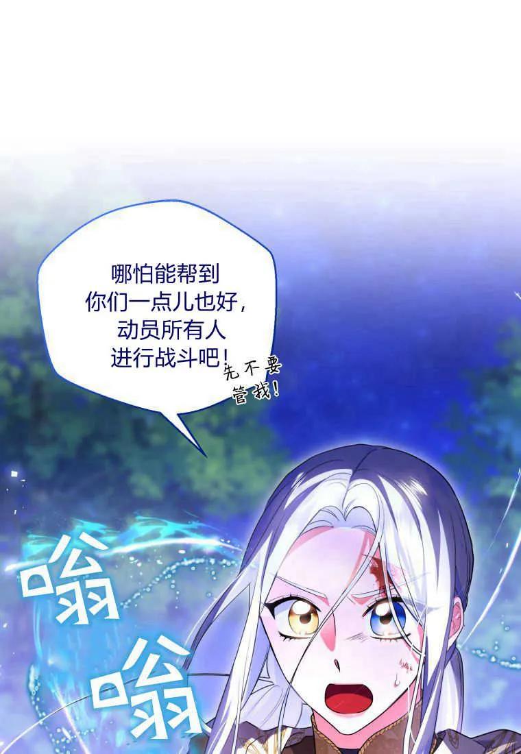 成为苏尔坦珍爱的猫咪 第39话 第42页
