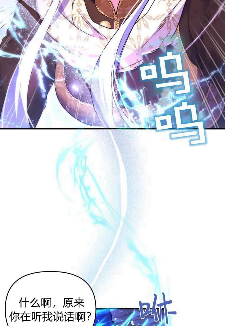 成为苏尔坦珍爱的猫咪 第39话 第59页