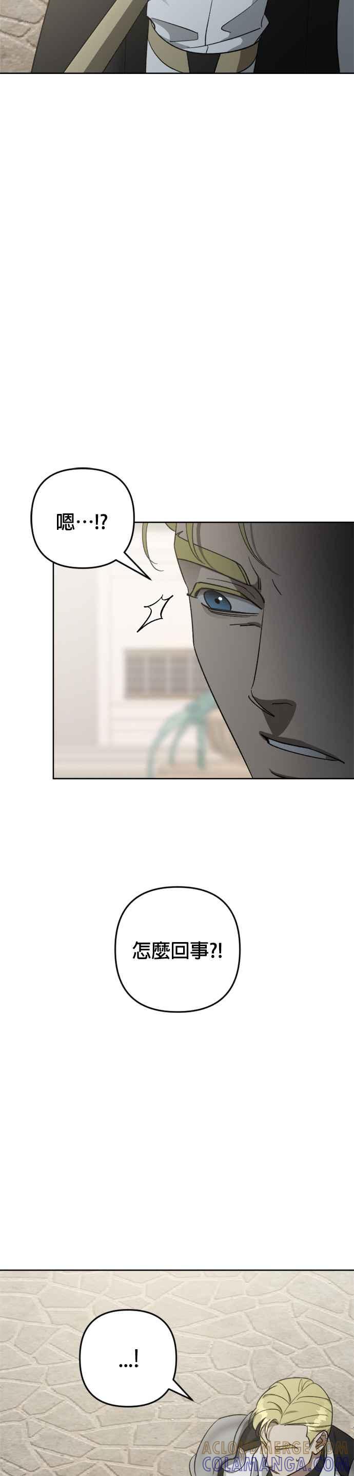 《皇帝倒转时光的理由》第78话 第13页