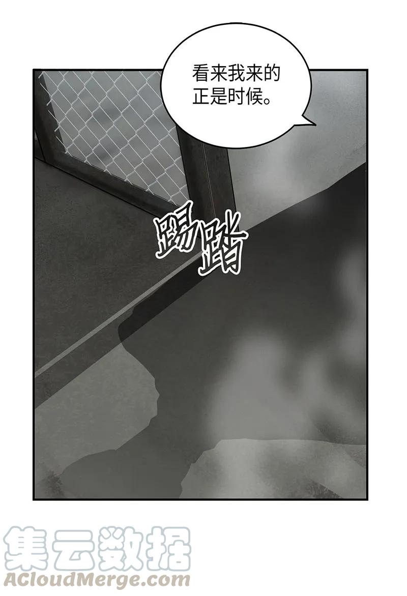 《我独自盗墓》064 唤醒神草 第77页