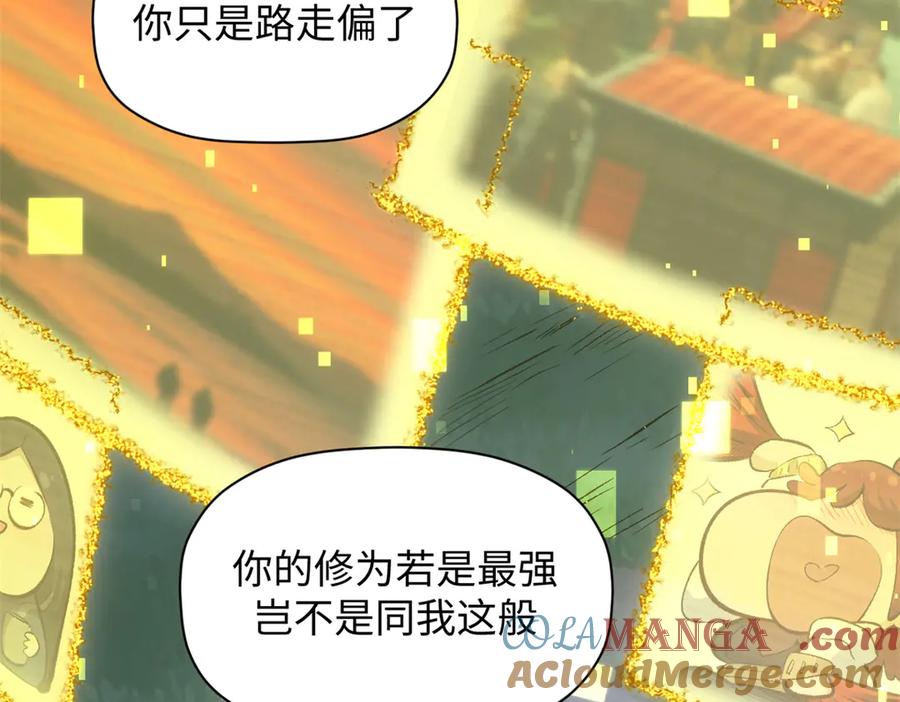 顶级气运，悄悄修炼千年 208 楚世人的执念 第113页