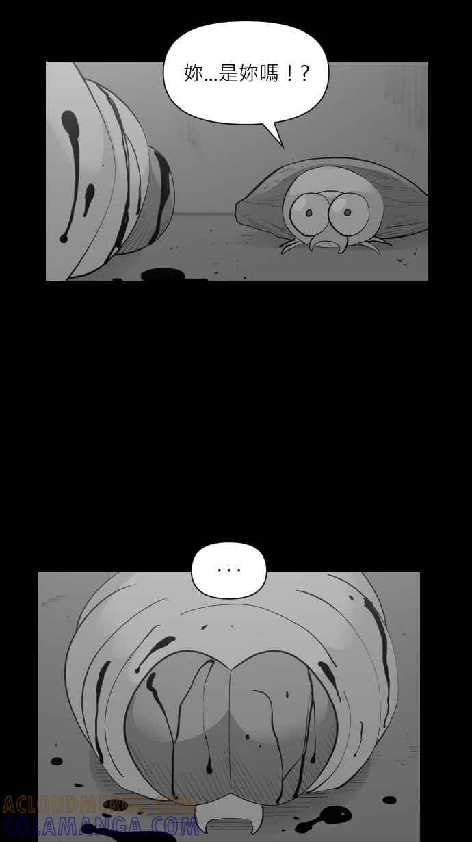 黑盒子 [355话] 奇蹟亭(2) 第27页