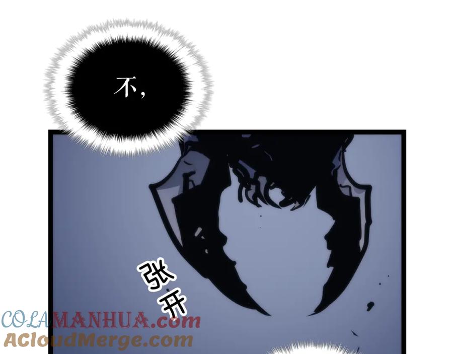 我独自升级 第103话 不知所措小蚂蚁 第249页