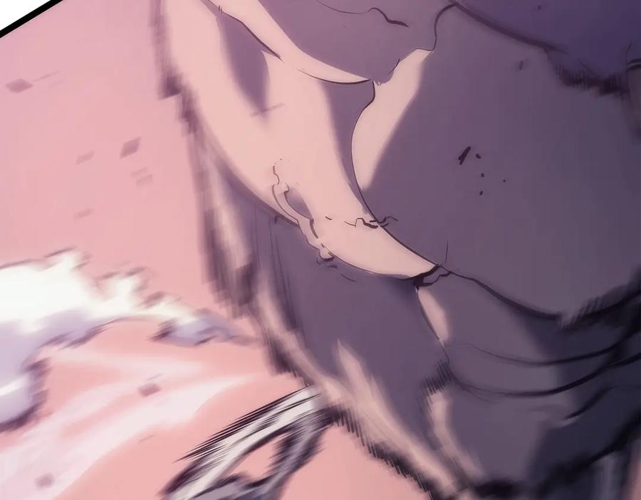 我独自升级 第118话 全速！ 第67页