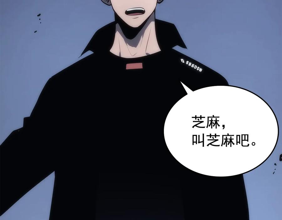 我独自升级 第122话 一人成军 第191页
