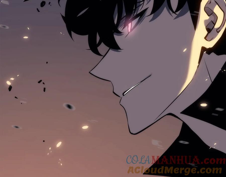 我独自升级 第136话 伺机而动 第205页