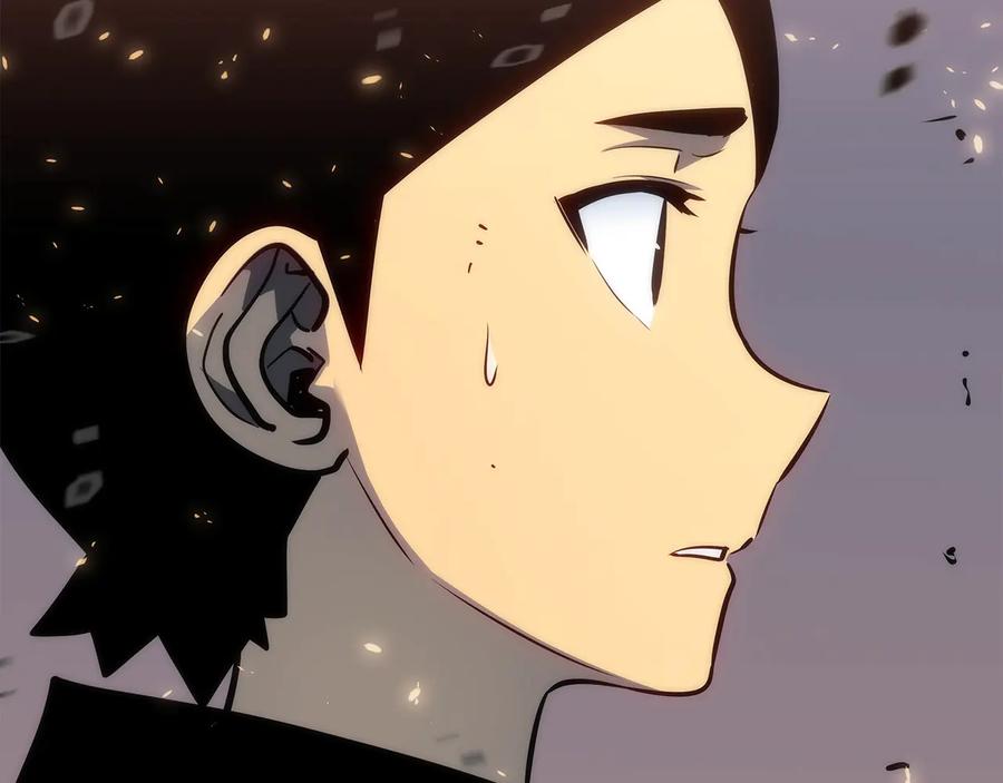 我独自升级 第136话 伺机而动 第228页