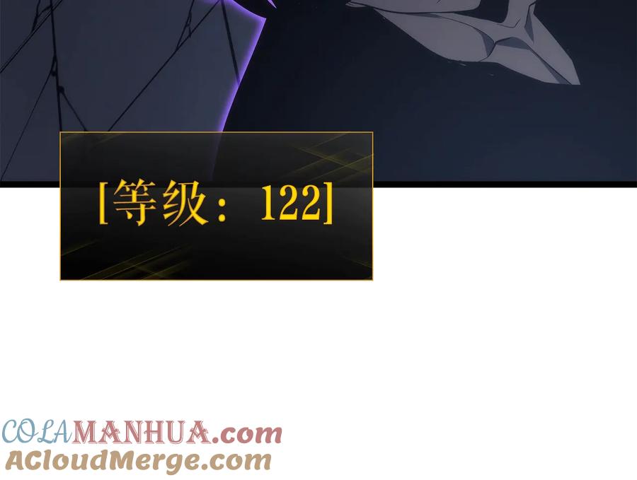 我独自升级 第138话 灾难 第205页