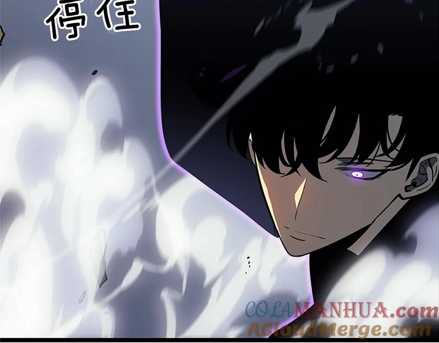 我独自升级 第147话 一拳接一拳 第189页