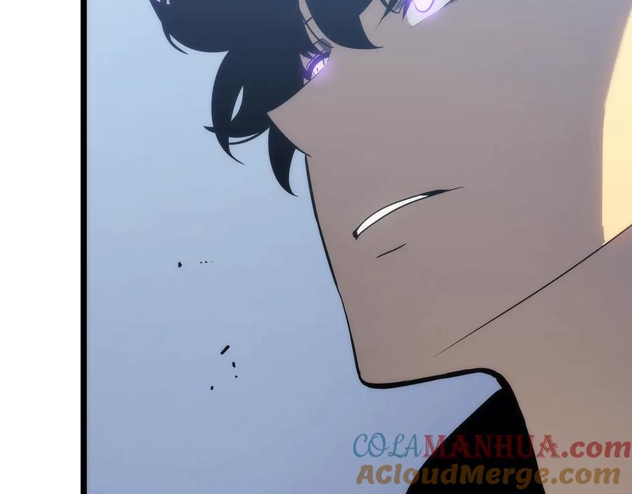 我独自升级 第147话 一拳接一拳 第253页