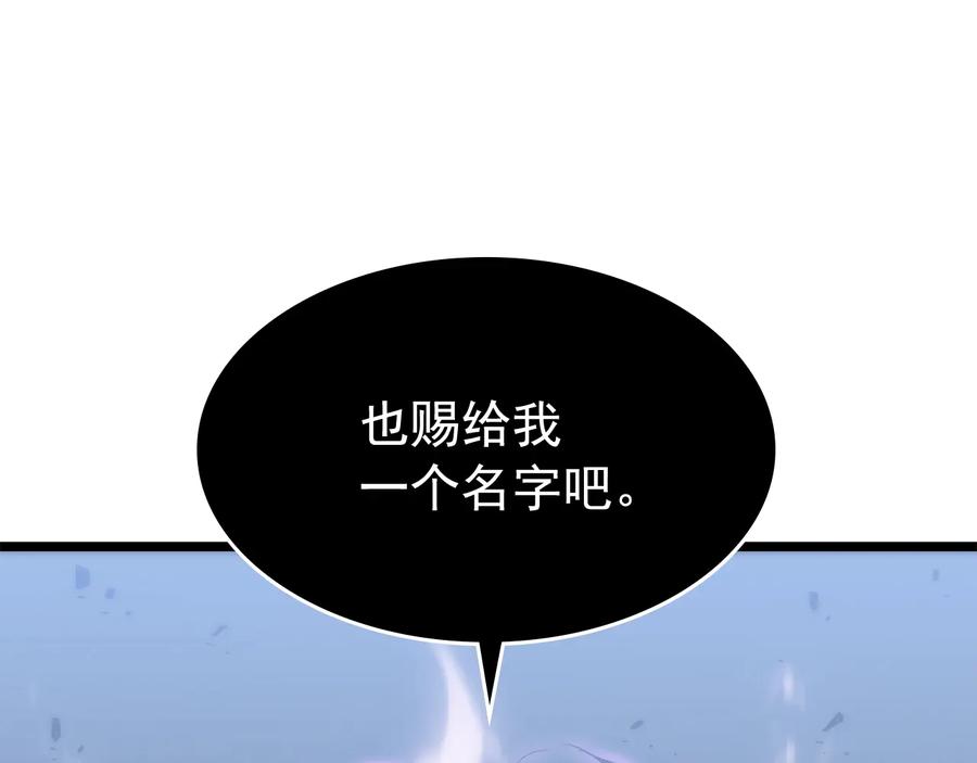 我独自升级 第147话 一拳接一拳 第244页