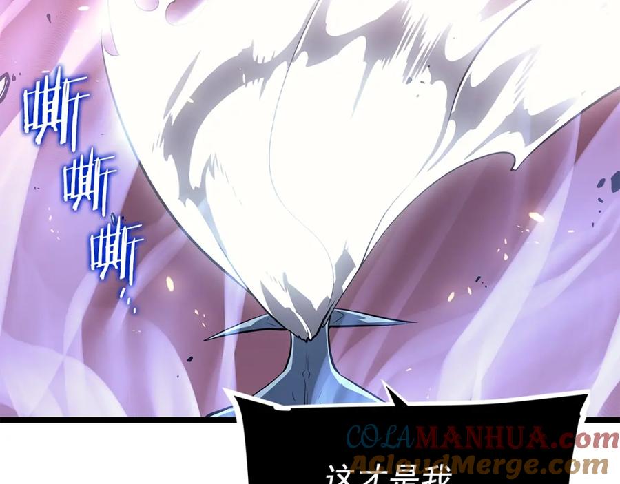 我独自升级 第164话 复活 第165页