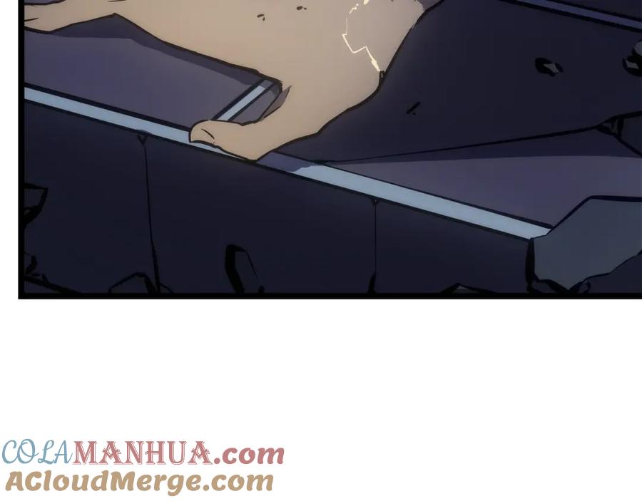 我独自升级 第165话 王的警告 第273页