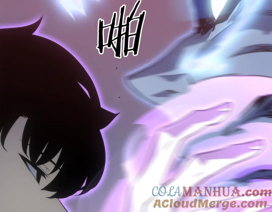 我独自升级 第165话 王的警告 第225页