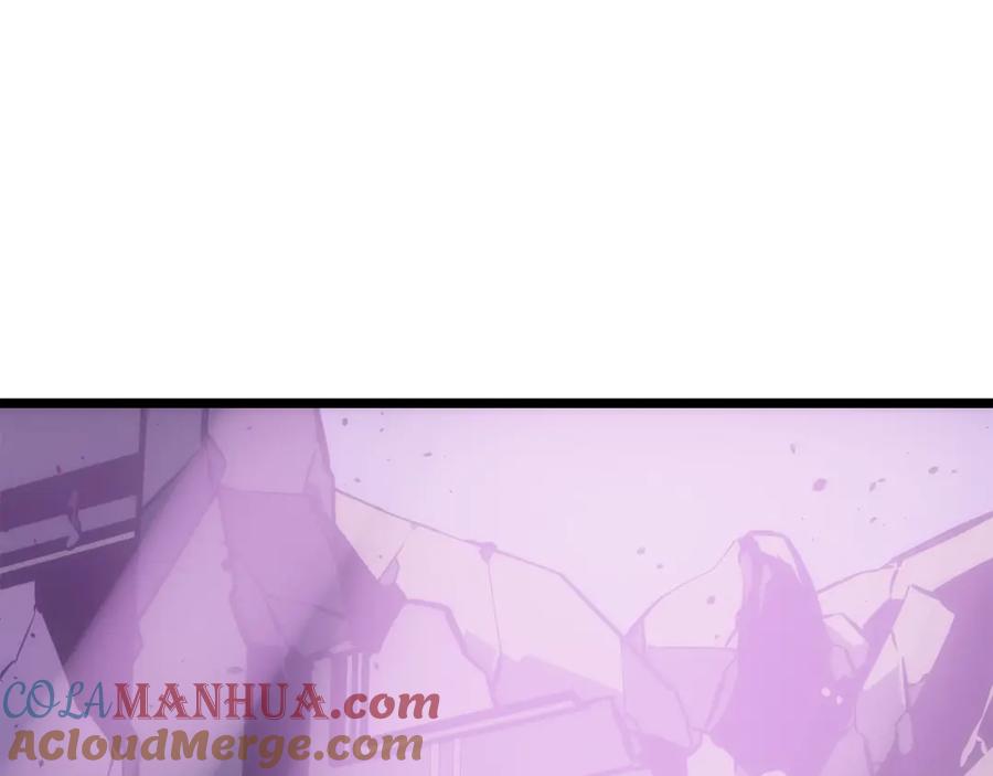 我独自升级 第165话 王的警告 第265页