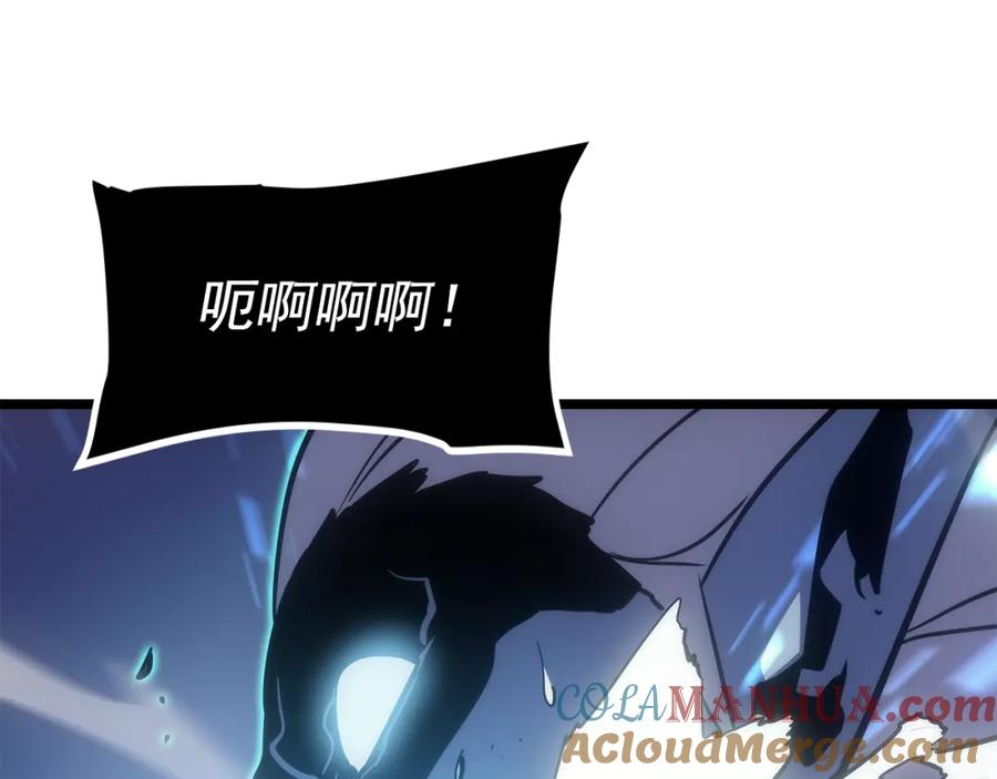 我独自升级 第165话 王的警告 第221页