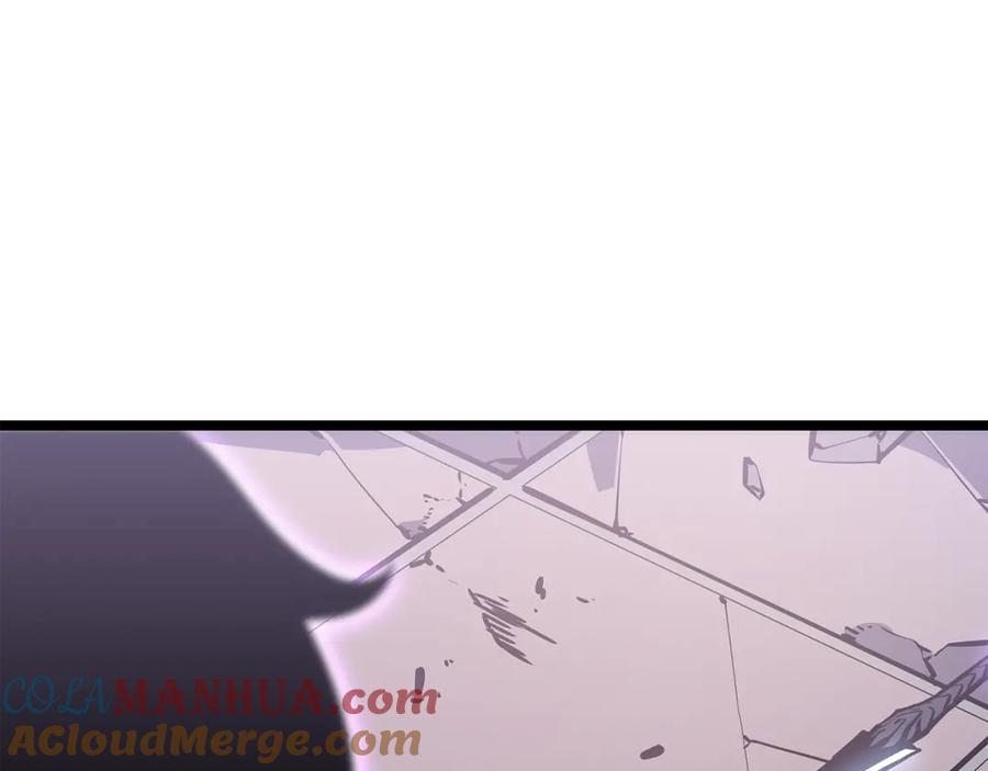 我独自升级 第165话 王的警告 第257页