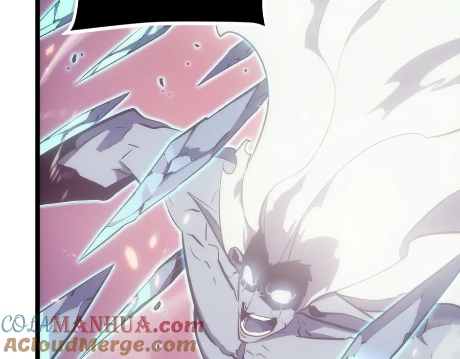 我独自升级 第165话 王的警告 第213页