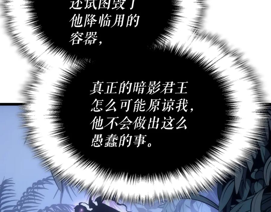 我独自升级 第165话 王的警告 第114页
