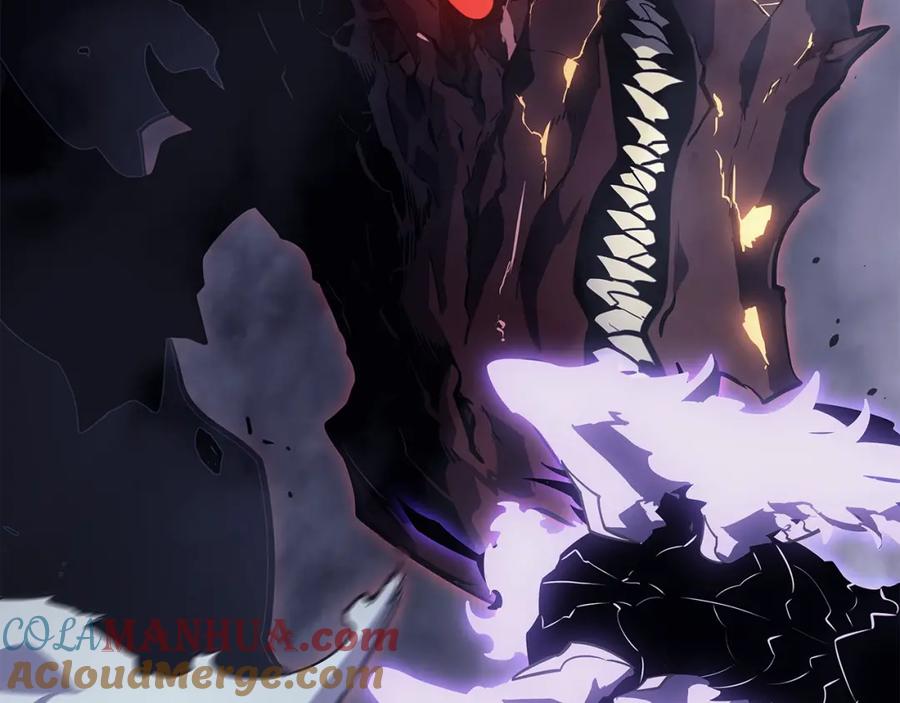 我独自升级 第173话 龙惧 第257页