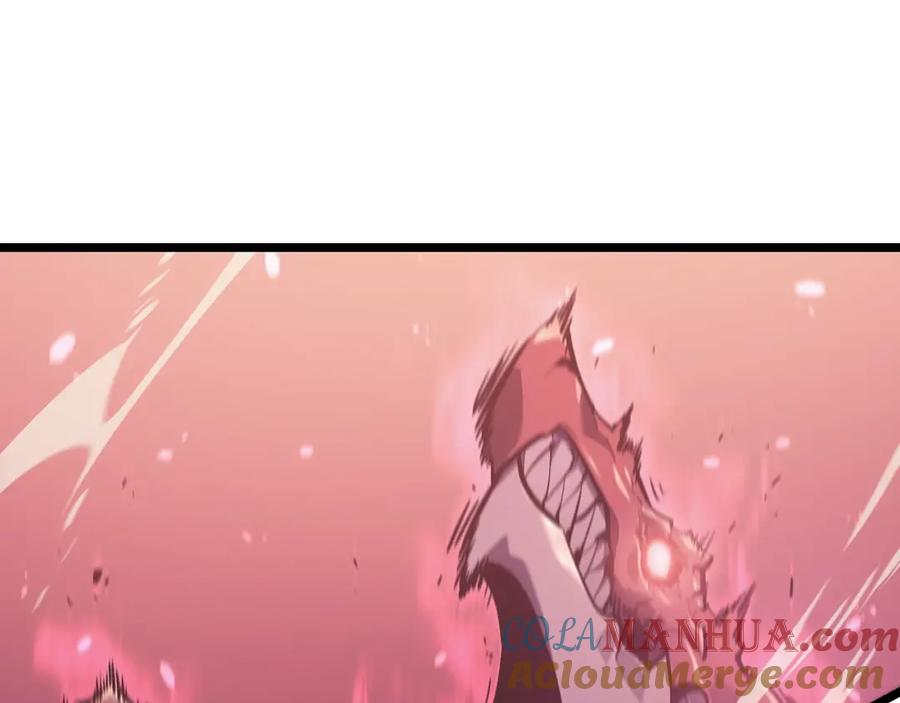 我独自升级 第173话 龙惧 第205页