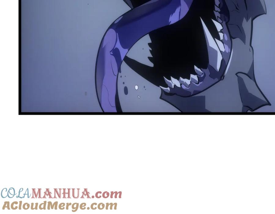 我独自升级 第178话 虚无世界27年 第121页