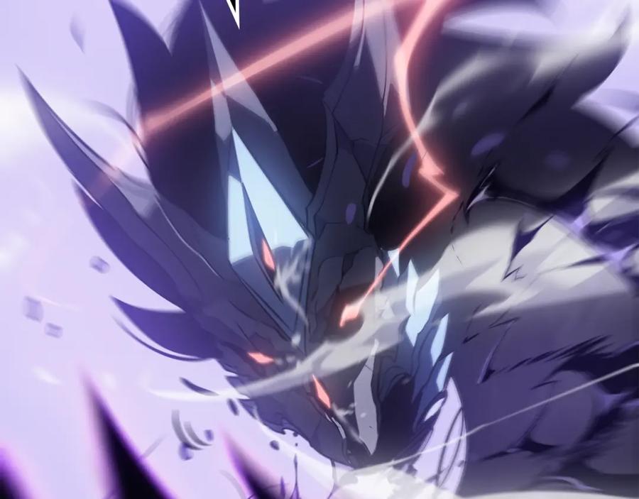 我独自升级 特别篇第5话 我独自战斗 第210页
