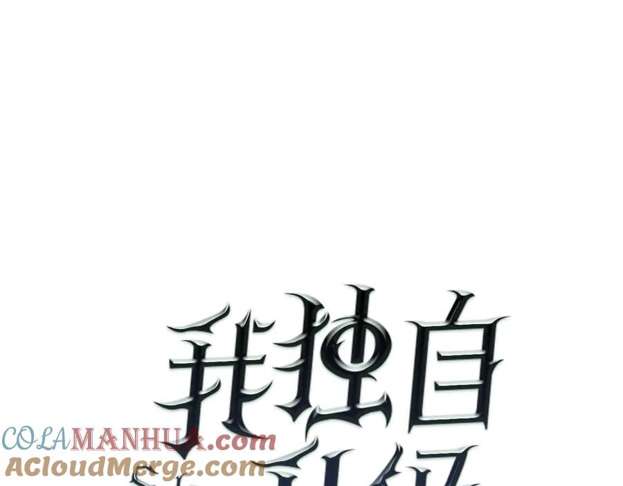 我独自升级 第54话 王者艾恩 第17页