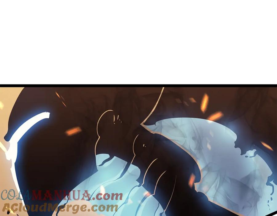 我独自升级 第72话 君王的召唤 第207页