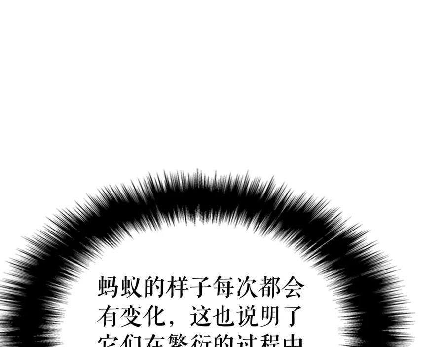 我独自升级 第88话 影子互换 第142页