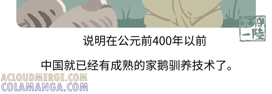 《胖达x胖达》第261话 第19页