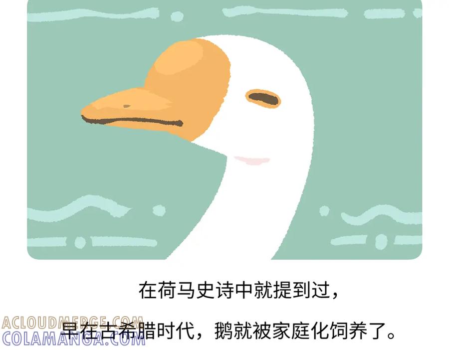 《胖达x胖达》第261话 第15页