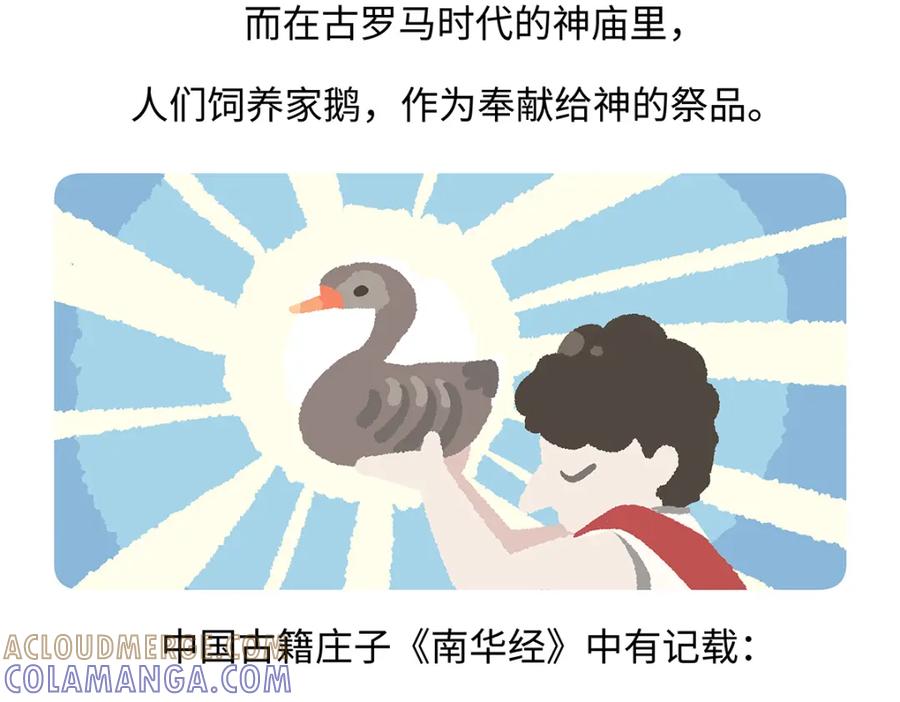 《胖达x胖达》第261话 第17页