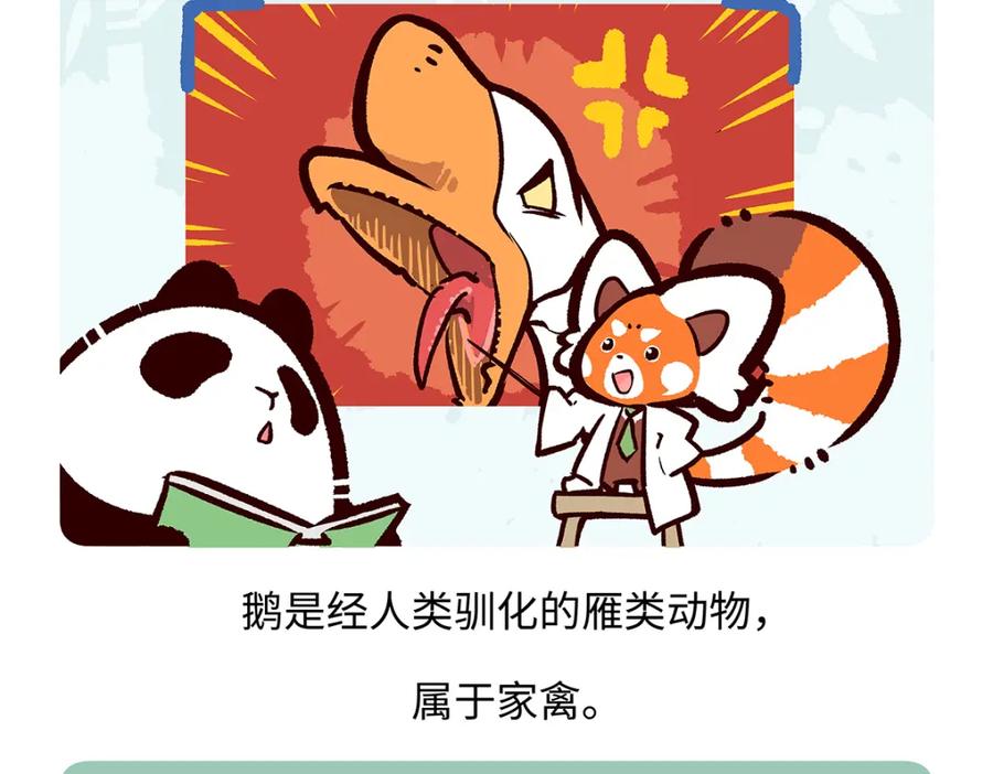 《胖达x胖达》第261话 第14页