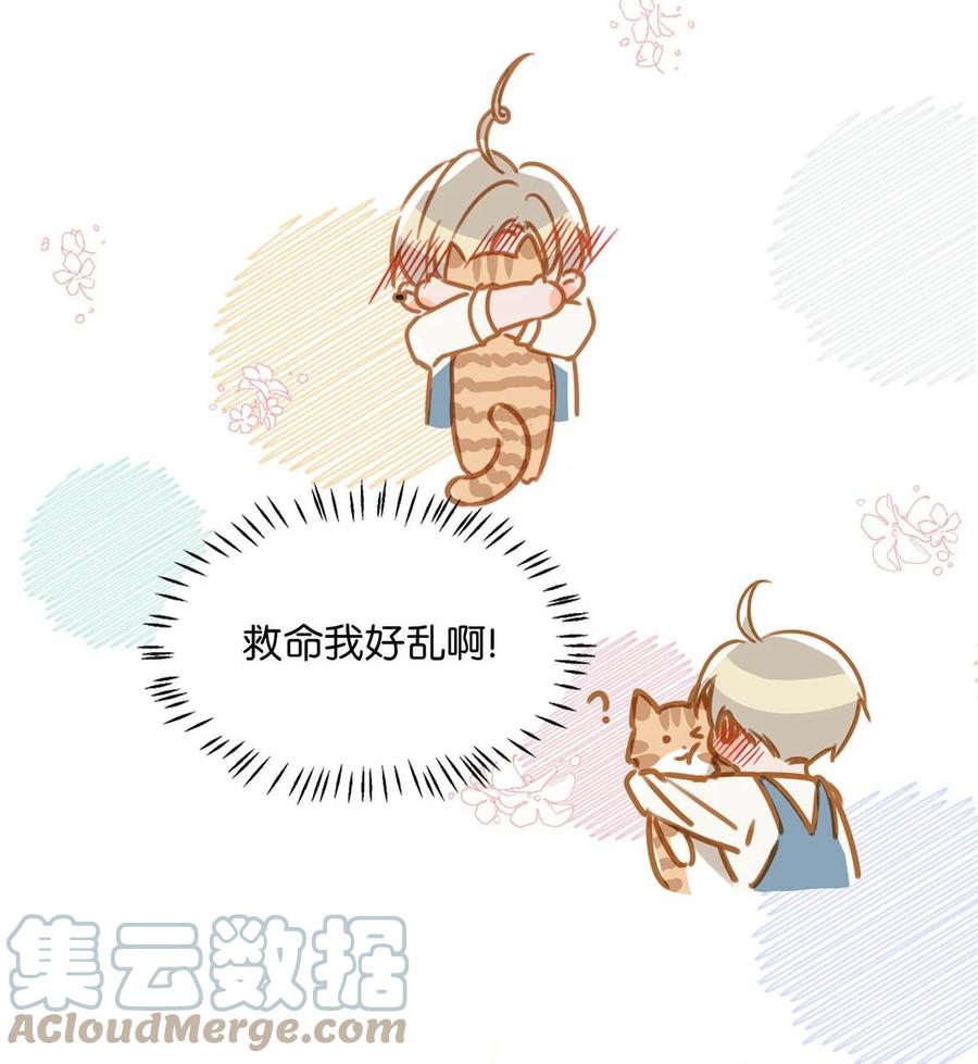 《我和我对家》053 我有依了，顾依凉的依。 第11页