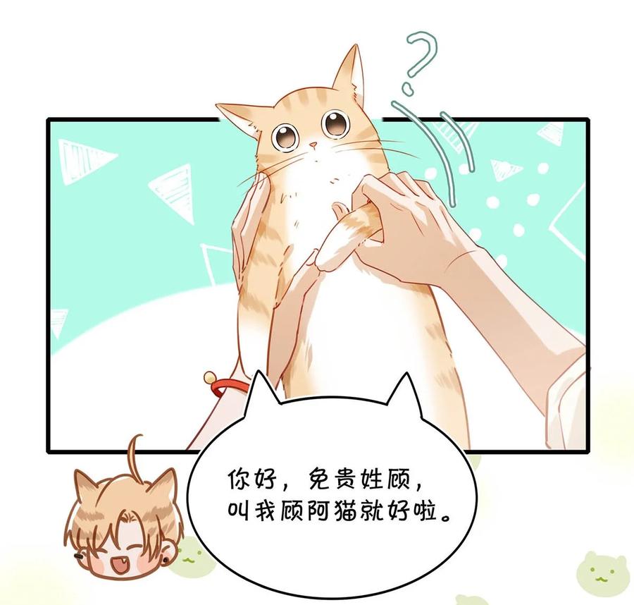 《我和我对家》053 我有依了，顾依凉的依。 第20页