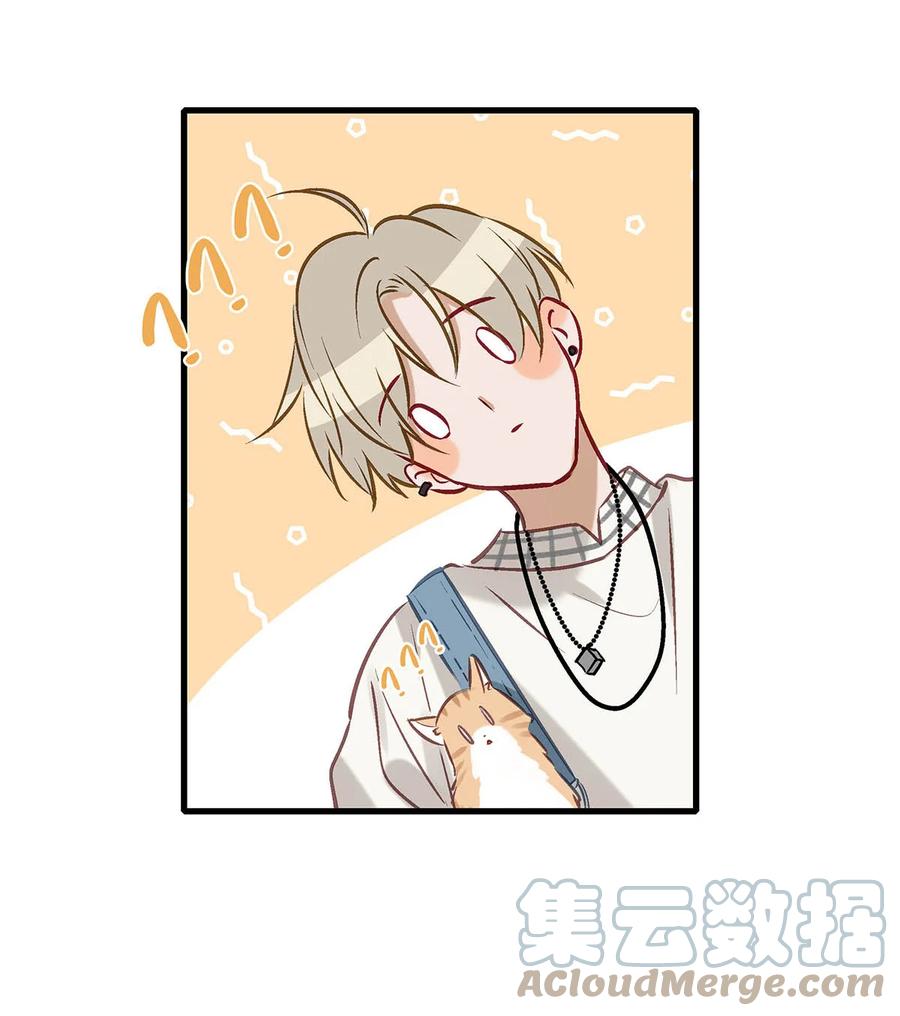 《我和我对家》054 我的威廉。 第37页
