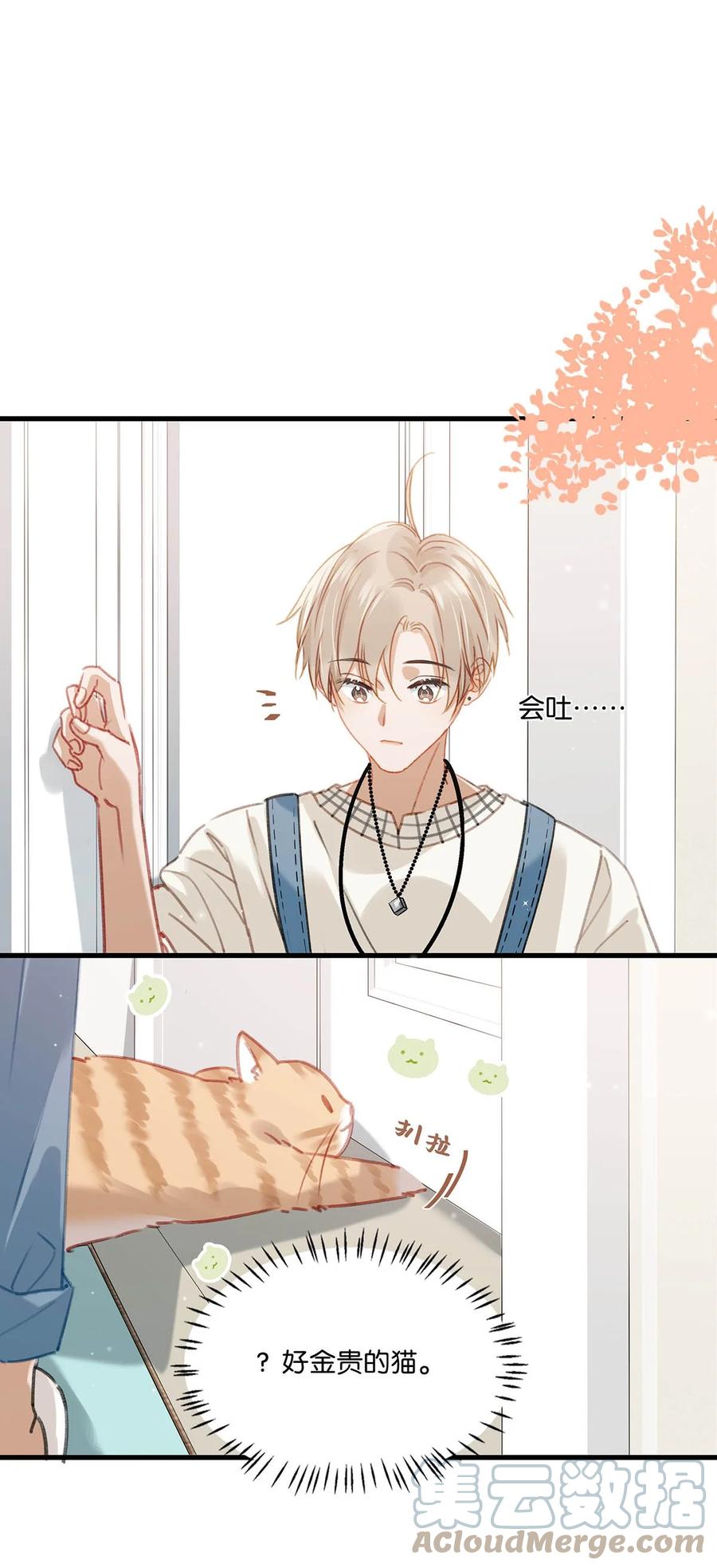 《我和我对家》055 开车？开房？开始——？ 第11页