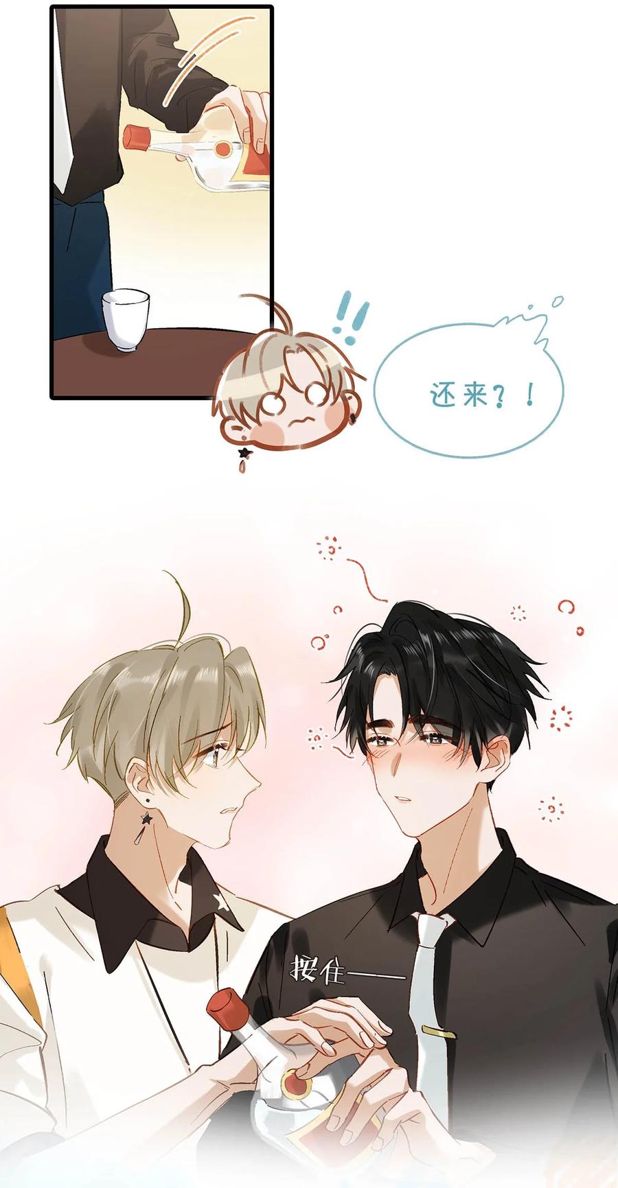 《我和我对家》071 爱情这杯酒，谁喝都得醉。 第12页
