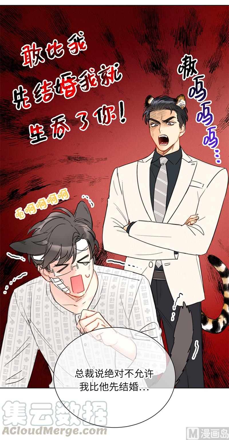 我和总裁相了个亲 - 101.你是特意来嘲笑我的吗？ - 第29张图