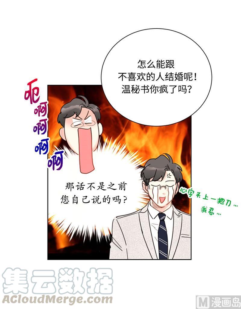 我和总裁相了个亲 - 78.恋爱天才温博士 - 第5张图