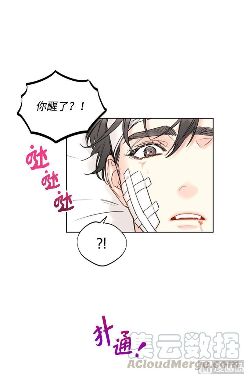 我和总裁相了个亲 - 95.温秘书出车祸？！ - 第13张图