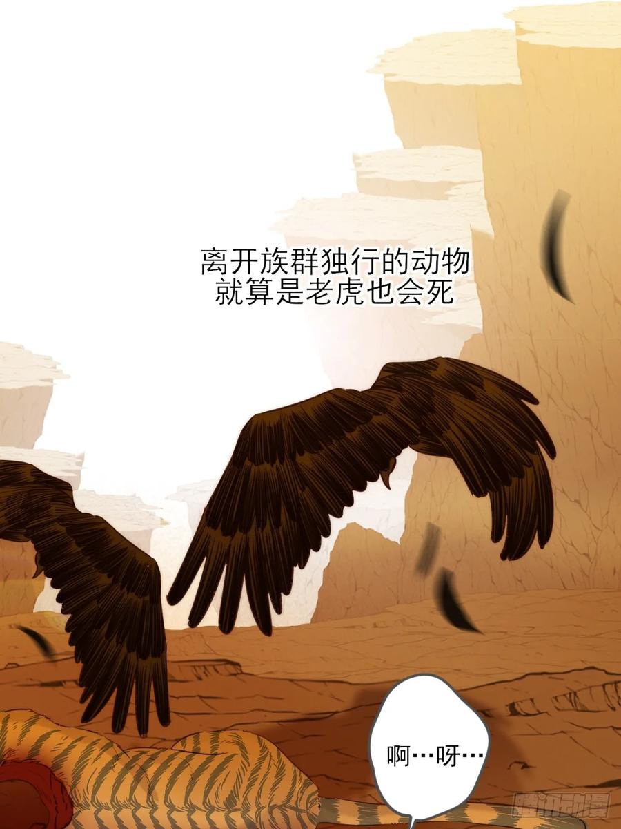 《只有尾巴不可以！》虎与爆篇1 第23页